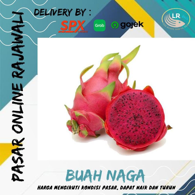 

Buah naga