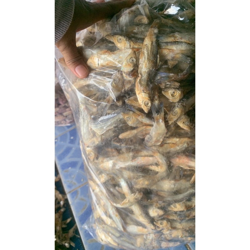 

ikan asin kering peda 1 kg