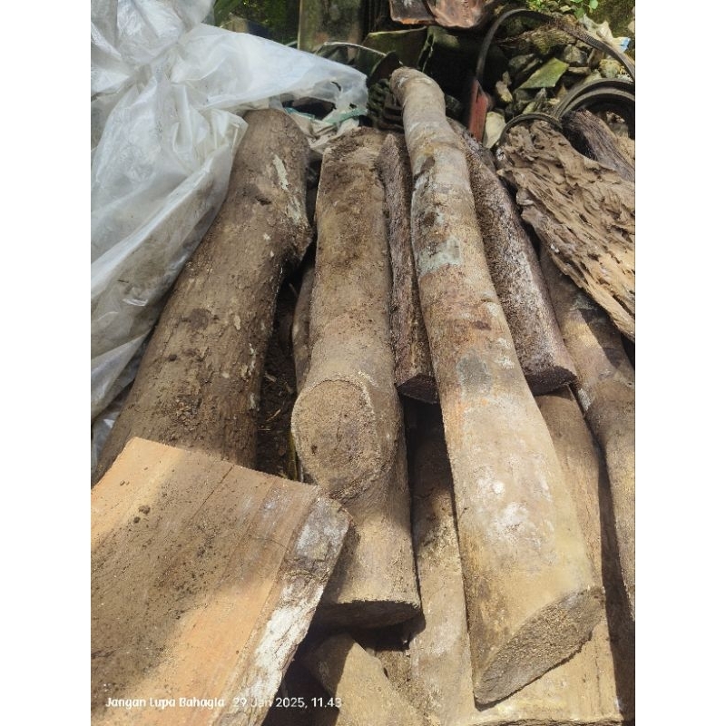 5kg Kayu nagasari ranting diameter +-6-10cm Asli 100% bahan tongkat jalan komando tasbih gelang kera
