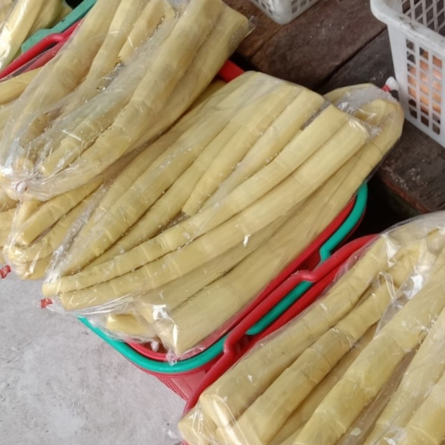 

Rebung Chuk Sun 1 Bungkus Segar Pontianak FRESH Seger