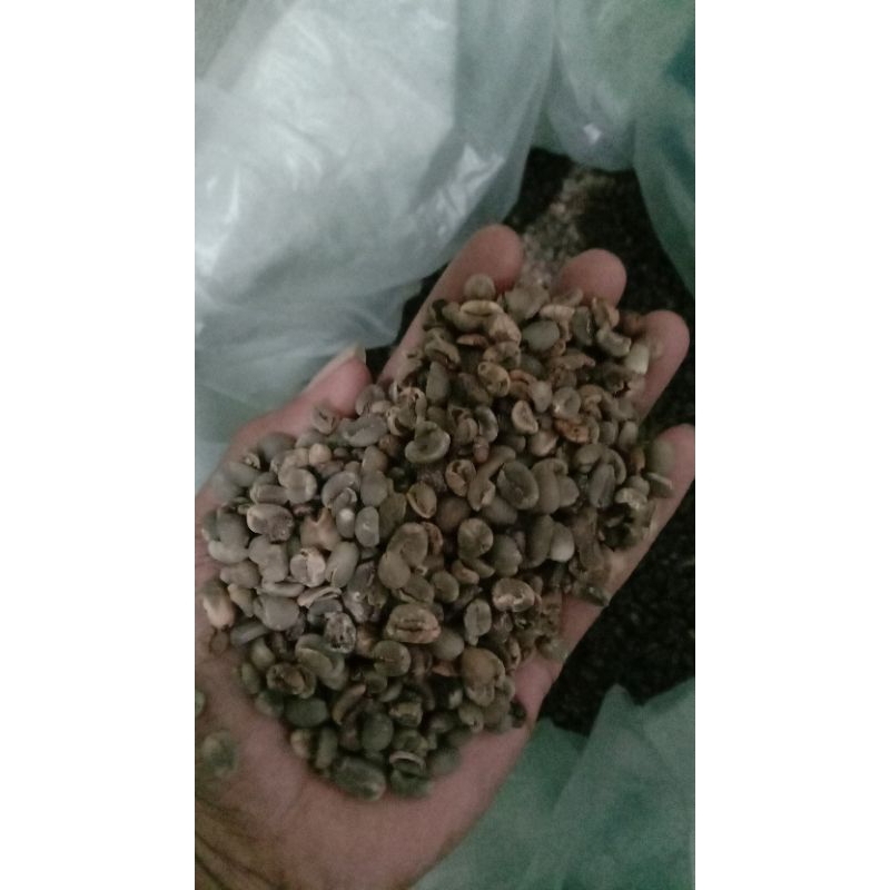 

Greenbean Aceh Gayo g2 1kg