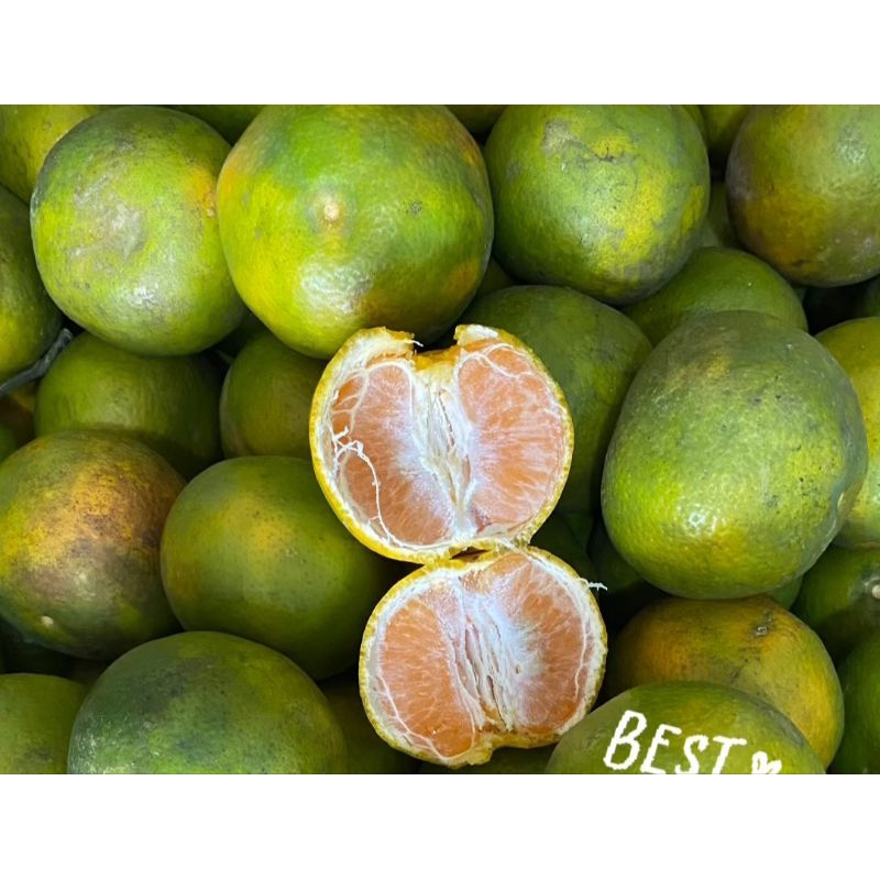 

jeruk Siam madu malang berat 500gram