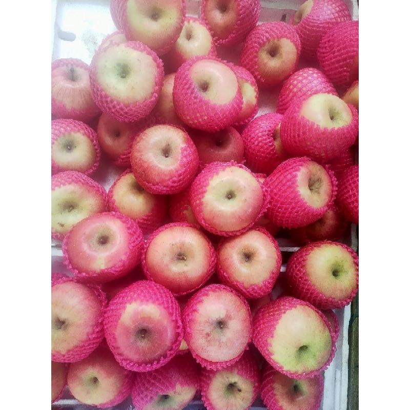 

Apel Fuji manis fresshh