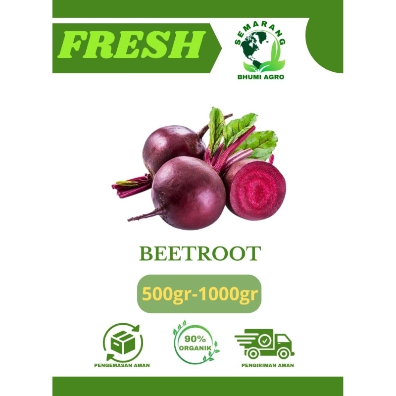 

Buah Bit/ Beetroot Organik & Fresh (Penambah Darah Alami) | BHUMI AGRO