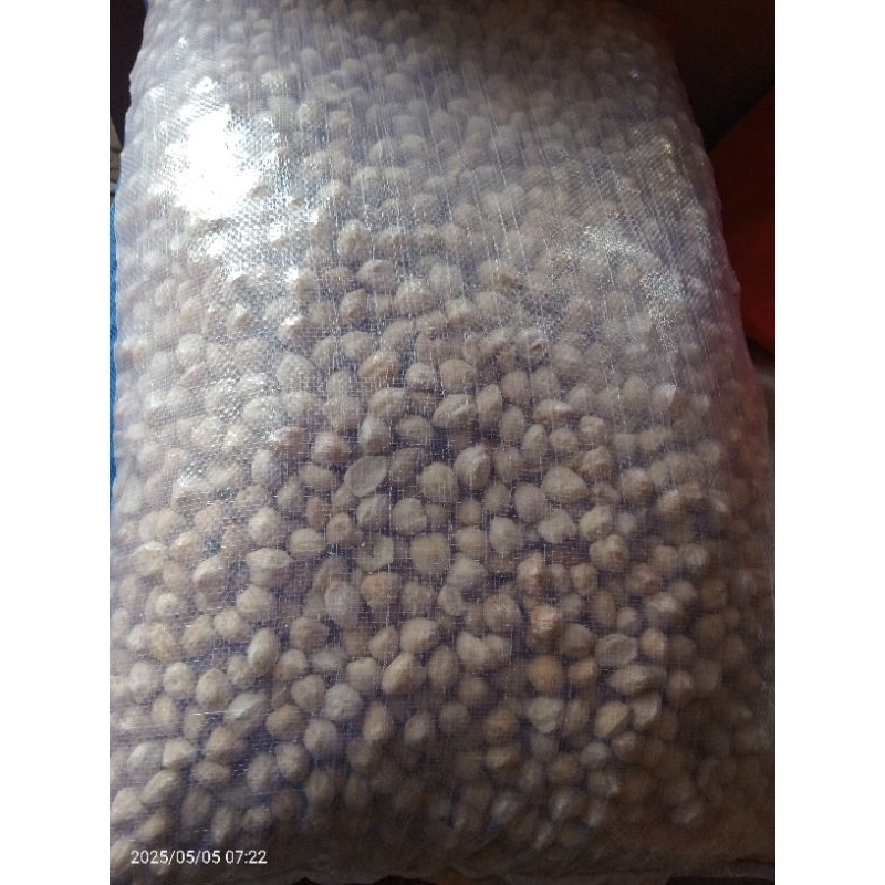 

KEMIRI BULAT 1 KARUNG 25KG