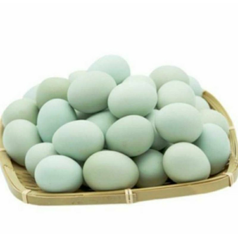 

INSTANT Telur bebek 1 butir by pasar Tasik online