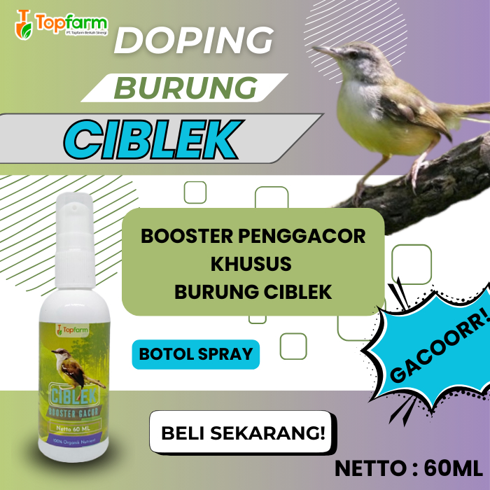 Vitamin Dan Doping Burung Ciblek 60ML/ Vitamin Penggacor Burung Ciblek/ Vitamin Booster Burung Cible