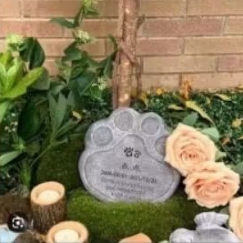 Nisan hewan/Po. Mr. Vivian