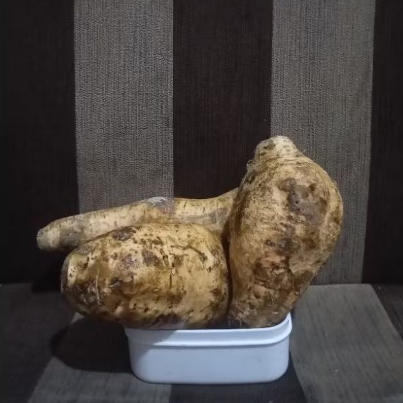 

Ubi Bakar Madu Cilembu Mentah/1kg/Ubi Fresh dan Besar