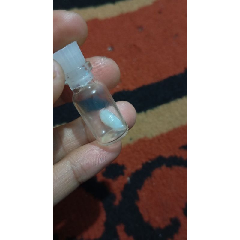 batu mustika ikan gabus