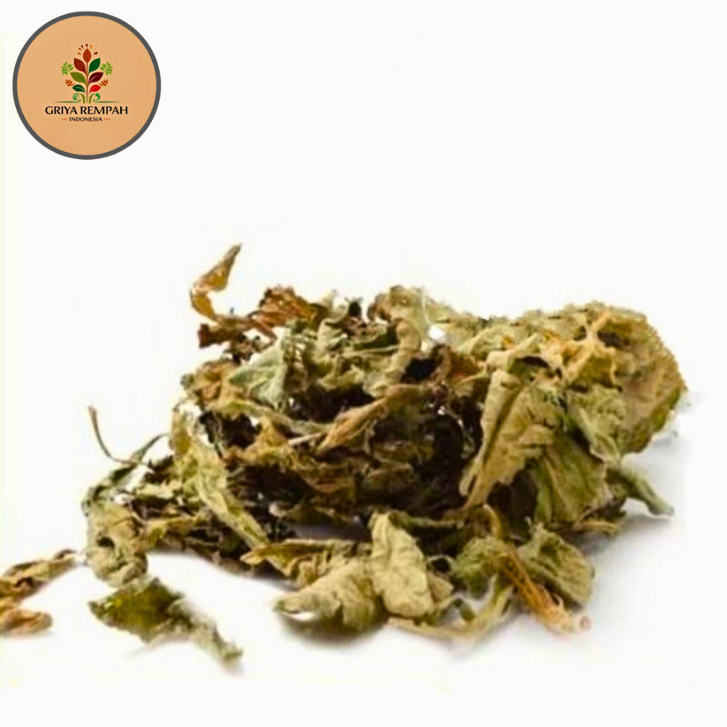 

TAPAK LIMAN KERING 500 GRAM Telapak Lima Rempah Herbal Alami Simplisia Ramuan Jamu Tradisional untuk Kesehatan Liver Vitalitas dan Detoks Tubuh Tapakliman Limo Elephantopus Scaber