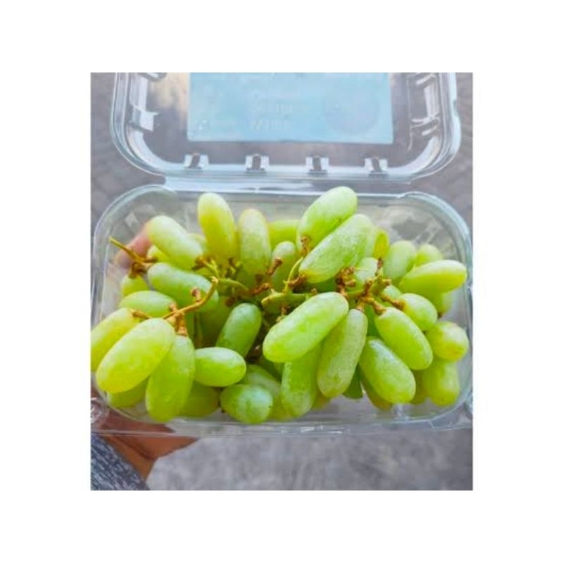 

buah anggur green sonaka pack 1kg