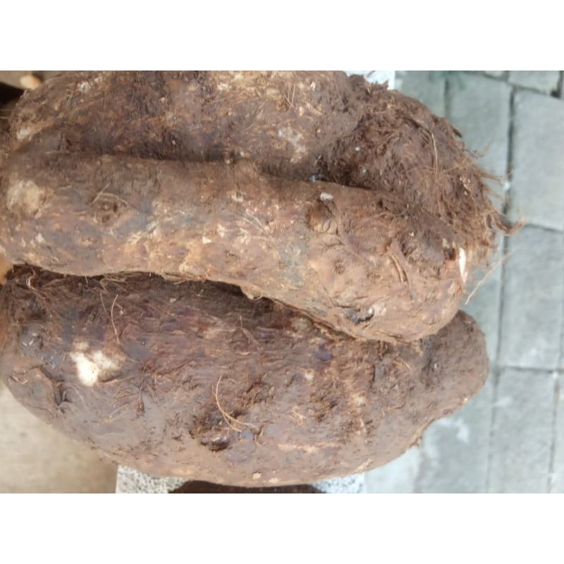 

UBI ENTHIK/TALAS 1KG