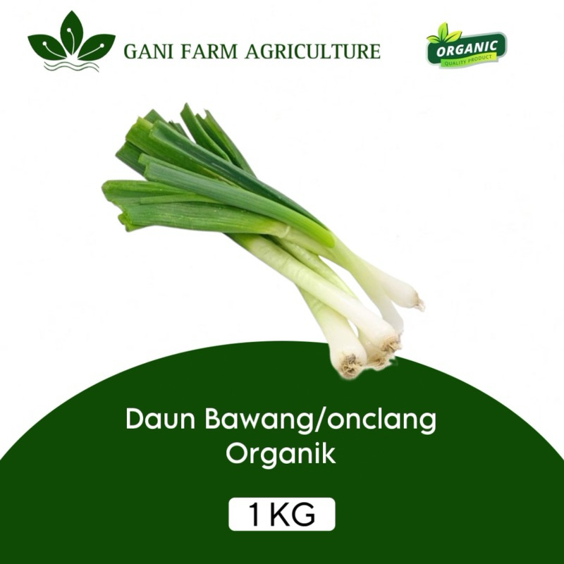 

daun bawang Organik 1kg daun onclang