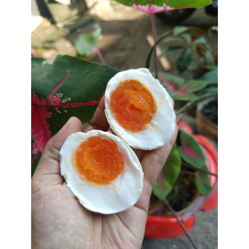 

Telur asin gurih sedang