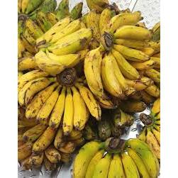 

PISANG RAJA GROSIR 1 SISIR TERMURAH BISA KIRIM SELURUH INDONESIA