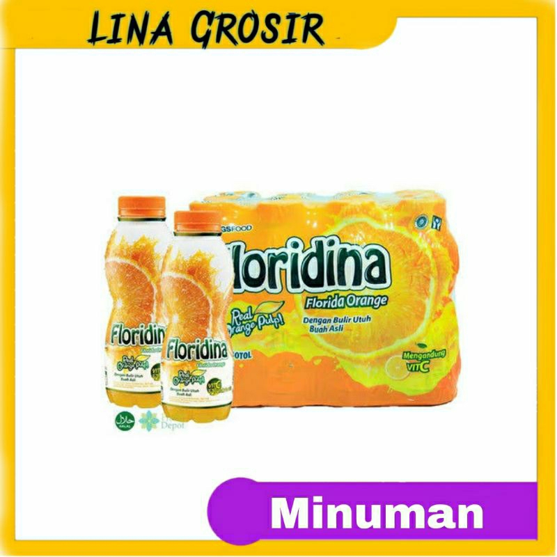 

WINGS FOOD Floridina Pulpy Orange @ 1 Lusin