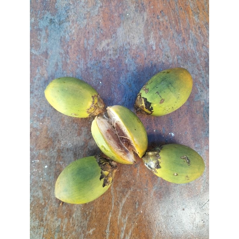 

Buah pinang muda 500 gram