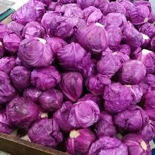 

KOL UNGU KUBIS KOBIS GOBES UNGU GROSIR 1KG TERMURAH BISA KIRIM SELURUH INDONESIA