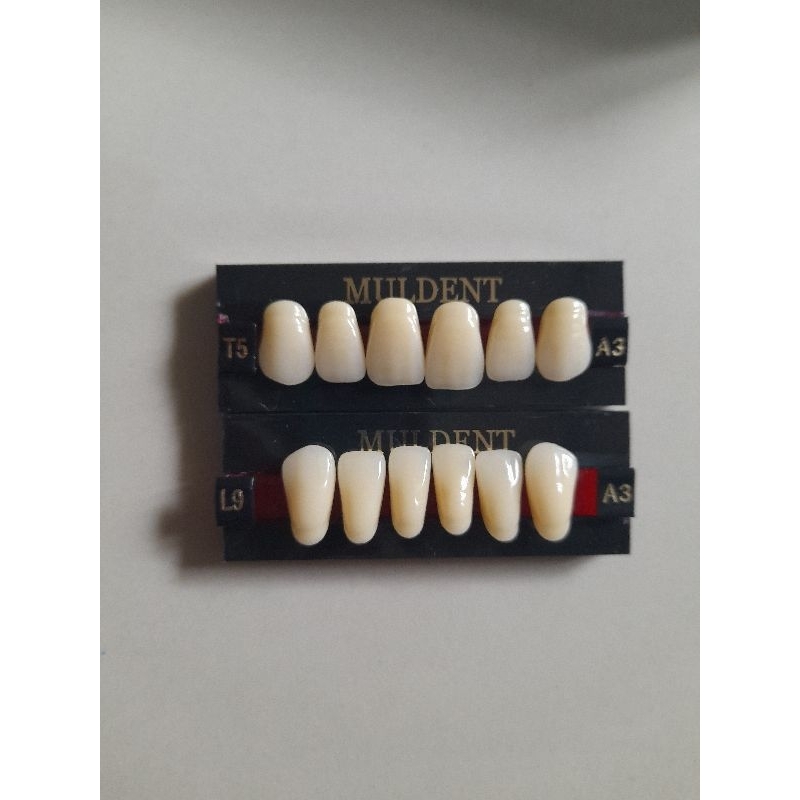 Gigi Palsu Muldent Anterior Atas atau Bawah