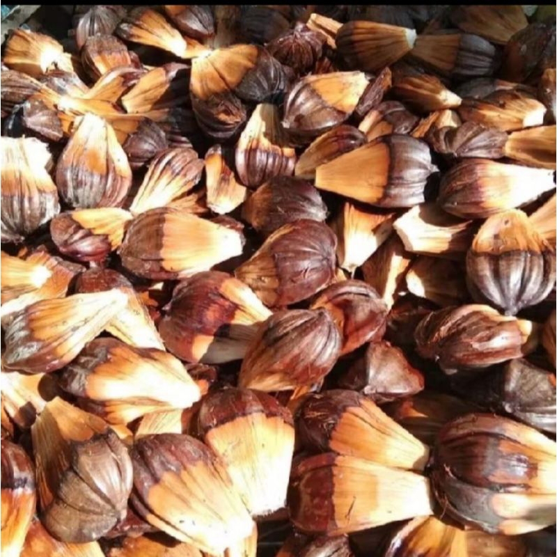 

Buah nipah/buah dahon 500gr