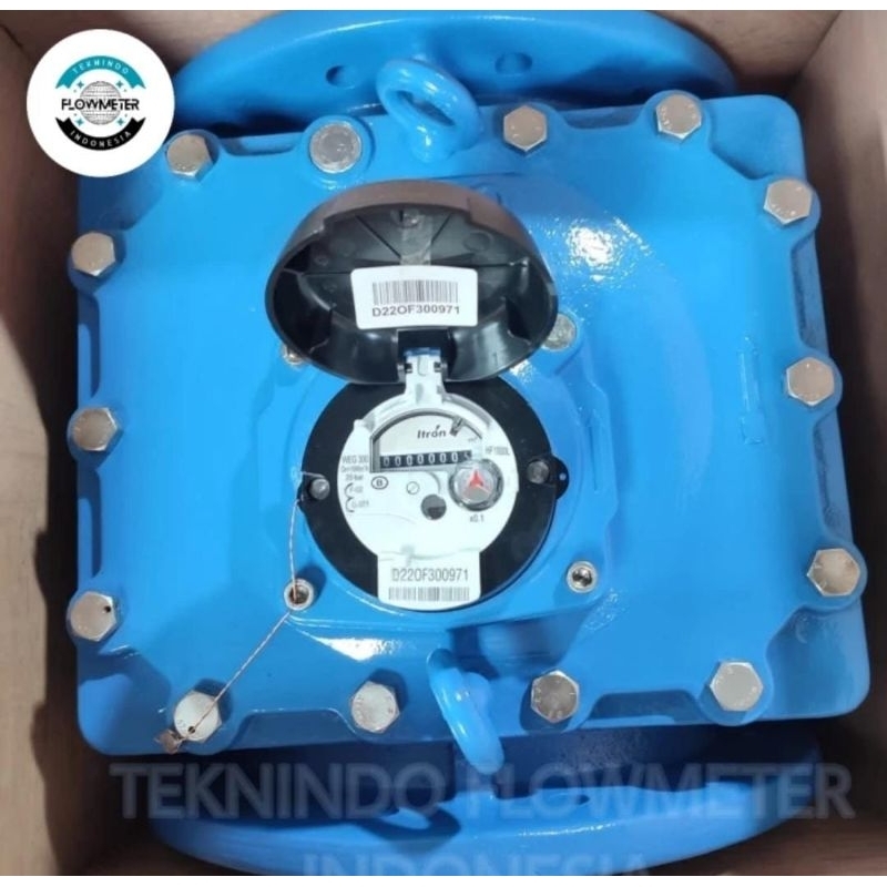 Water Meter ITRON 12 inch