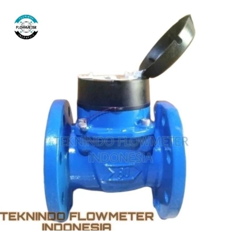 Water Meter ITRON 3 inch