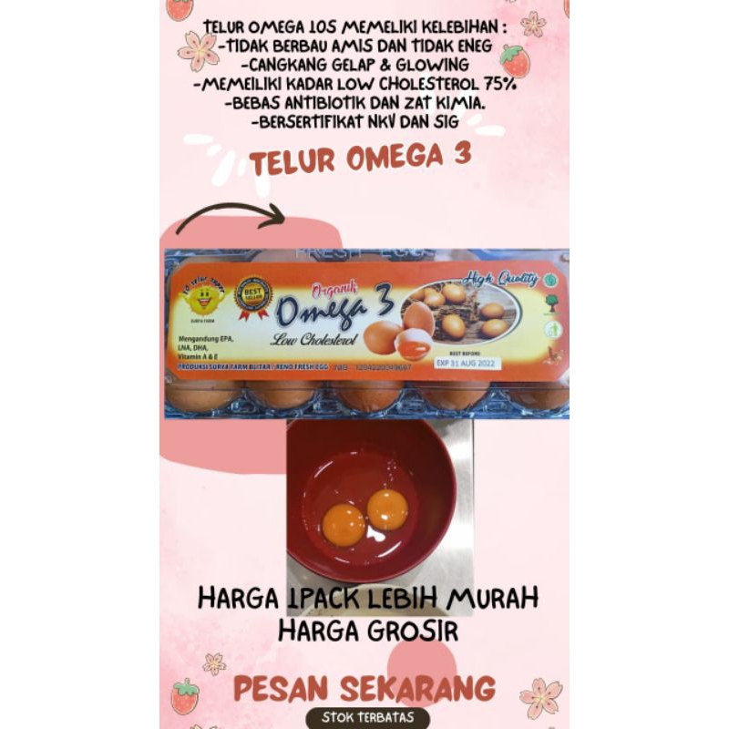 

TELUR OMEGA 3 10S/10BUTIR UD RENO