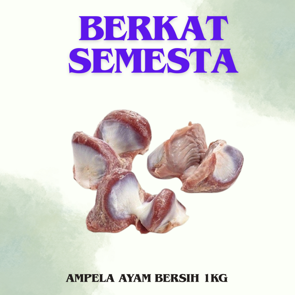 

AMPELA AYAM BERSIH 1KG