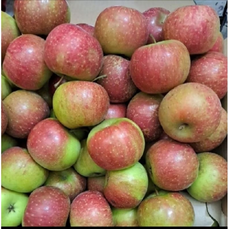 

Apel Malang/Apel Ijo (500gr-1000gr)