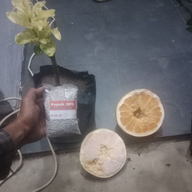 pupuk npk mutiara profesional