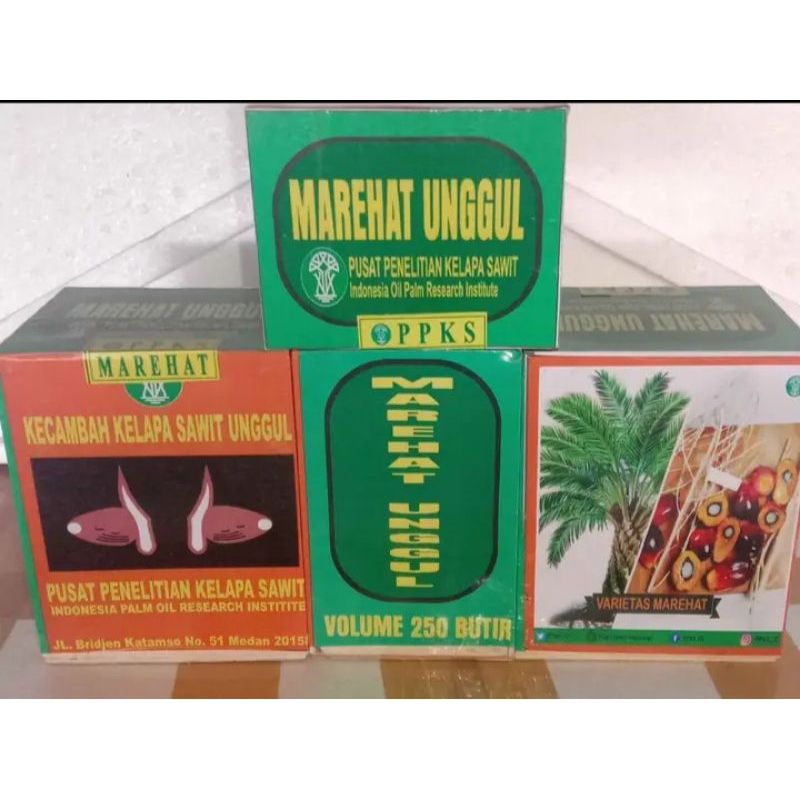 PPKS MARIHAT KUALITAS UNGGUL