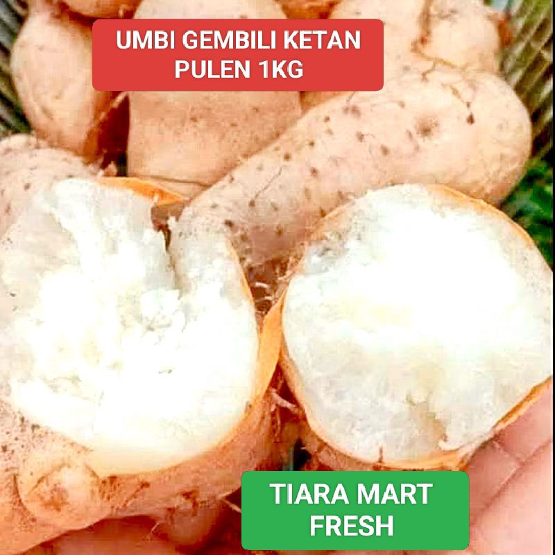 UMBI GEMBILI PULEN 1KG/ GEMBILI KETAN GURIH BEBAS GULA