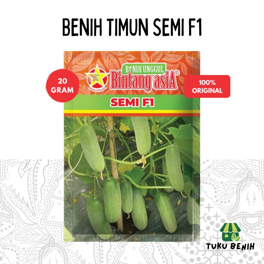 Benih Bibit Timun Semi F1 20 Gram - Bintang Asia