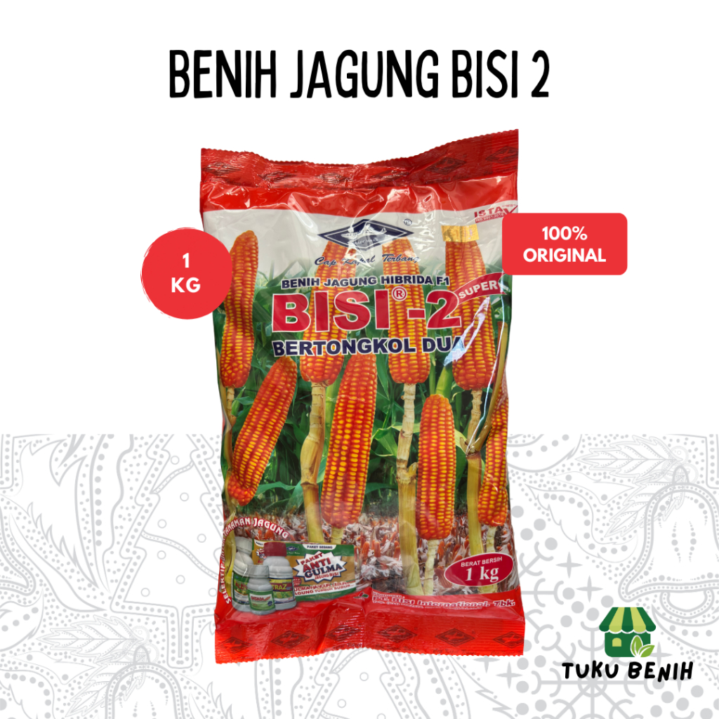 Benih Jagung Bisi 2 1 Kg - Cap Kapal Terbang
