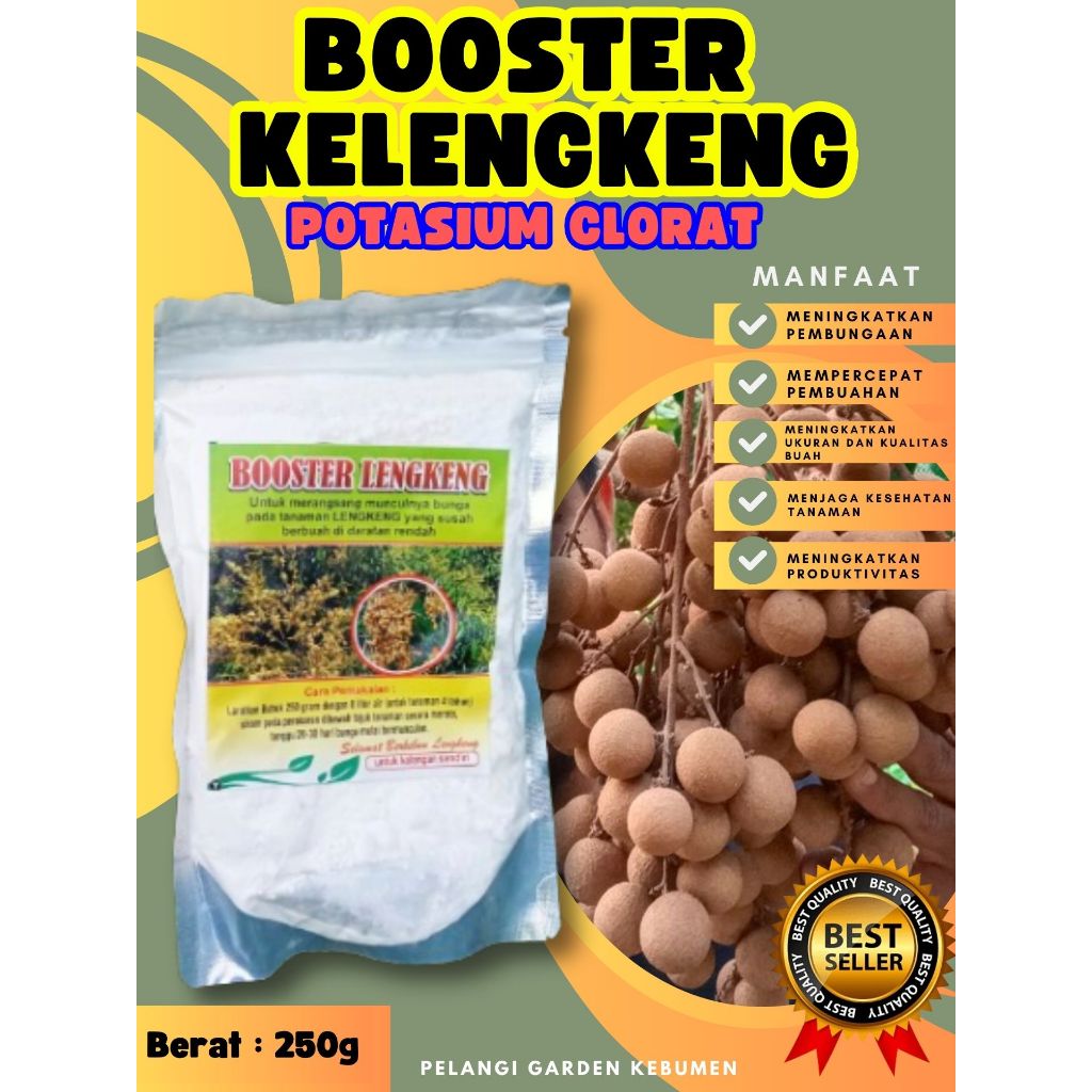 BEBAS JAMUR  Booster Kelengkeng New Kristal Cangkok, Booster Kelengkeng New Kristal Berbuah