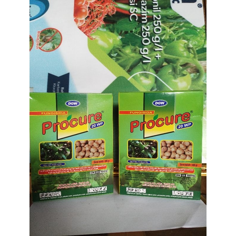 

procure 400 gr/1 Box