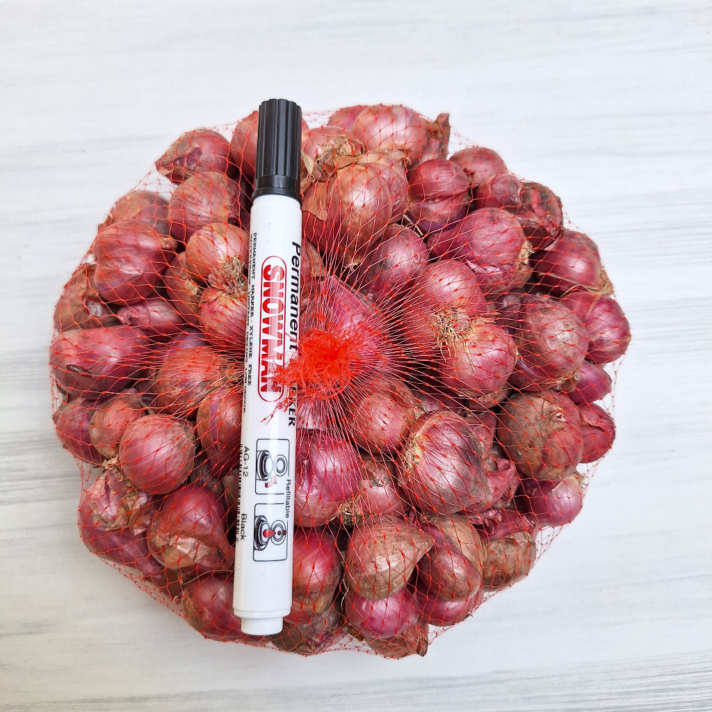 

Bawang Merah Sulawesi Brambang Kering Kualitas Super Ukuran Jumbo