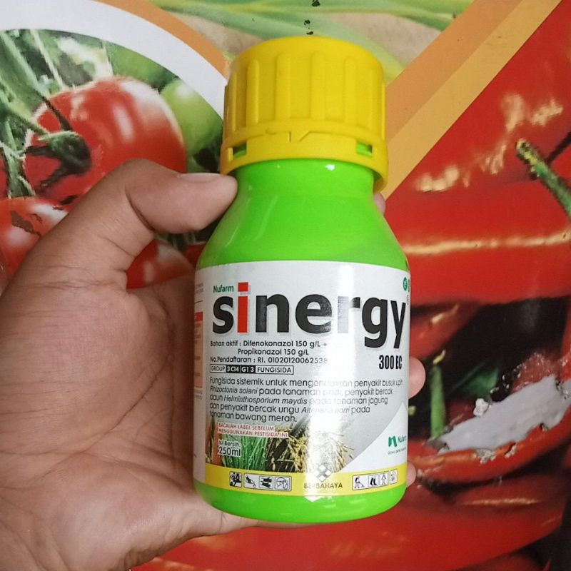 Sinergy 300 EC Fungisida Sistemik