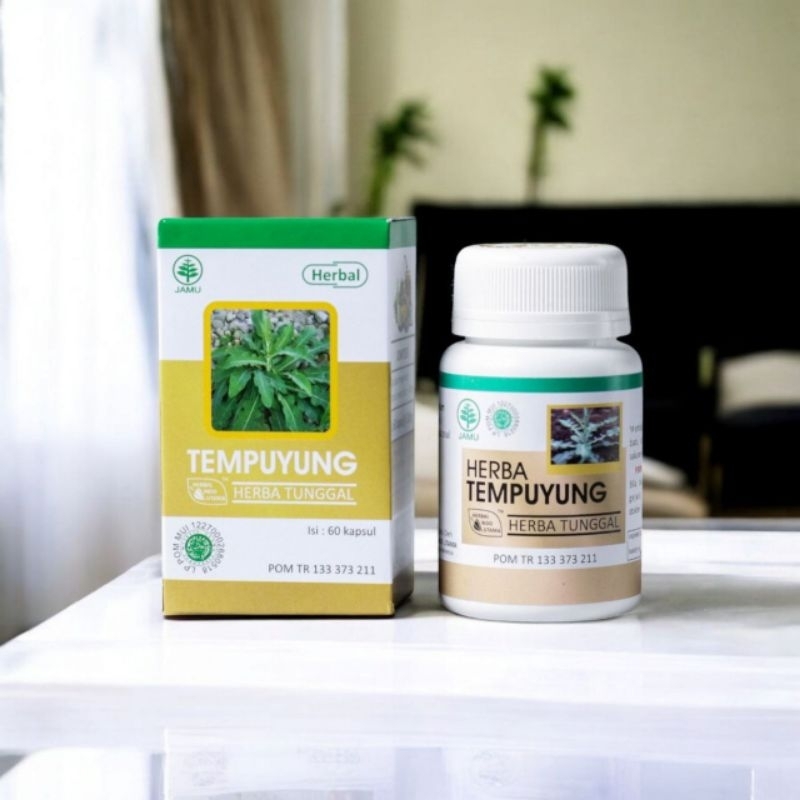

Herba tempuyung herba tunggal