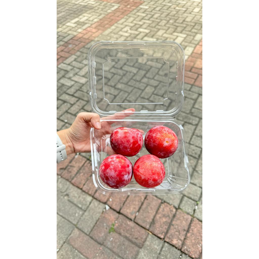 

Plum Red Import (PACK)