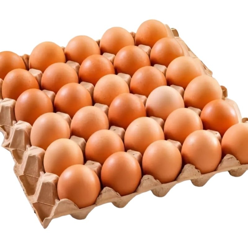 

Telur Ayam Negri Pilihan Premium
