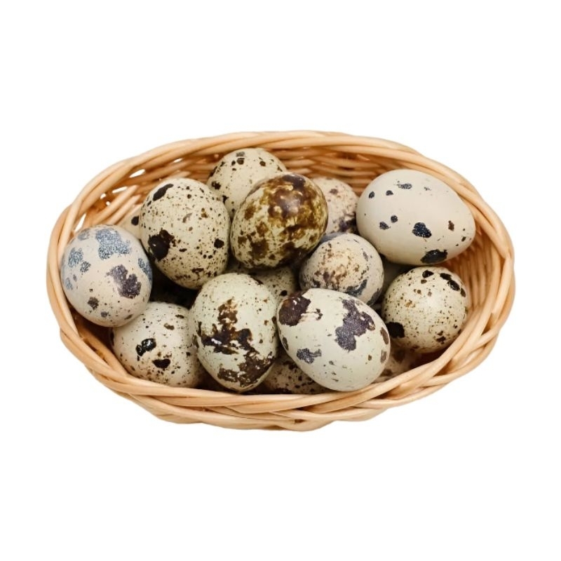 

Telur Puyuh Mentah 20 Butir