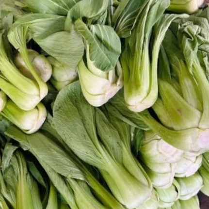 

INSTAN KOTA JAMBI Sayur Pakcoy 250gr