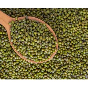 

Kacang Hijau / Mung Beans 500gr