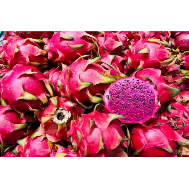 

buah naga/Dragon fruit per 1kg