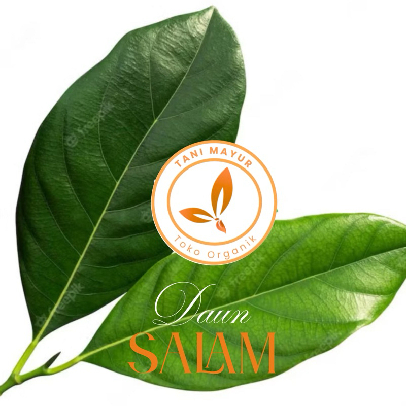 

daun salam harumkan makanan