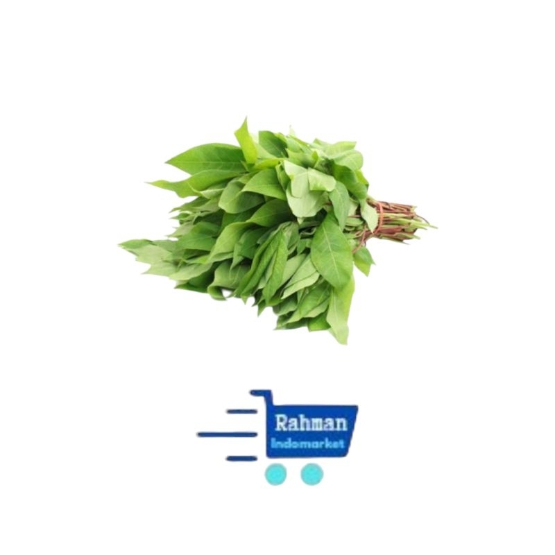 

SAYUR DAUN ubi /daun SINGKONG/ pucuk ubi 1IKAT fresh