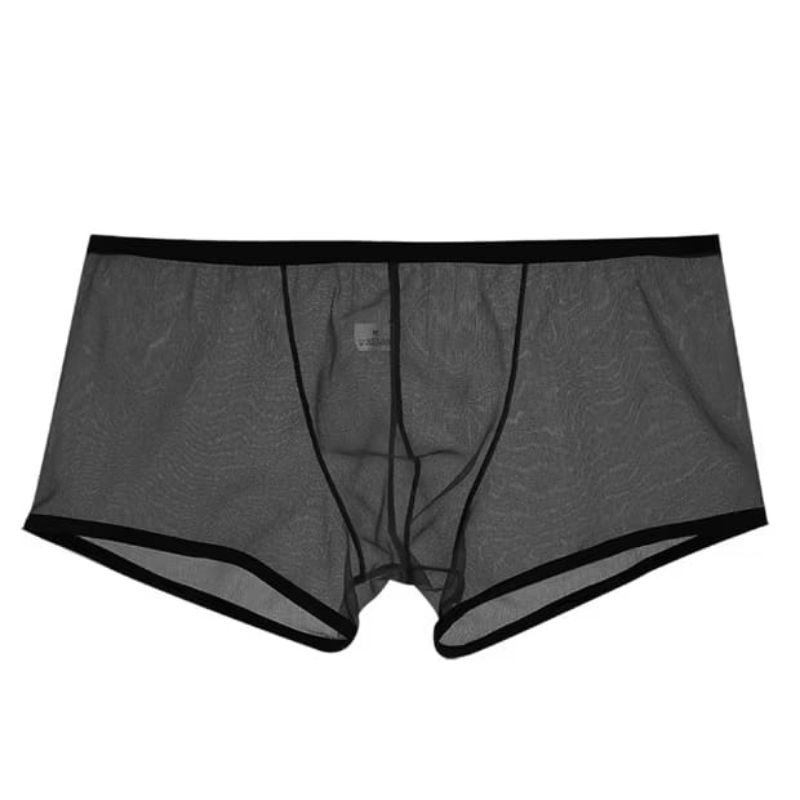 Celana Dalam Transparan Pria Sexy Polos Boxer Sexy Transparan Pria Low Boxer Sexy Transparan