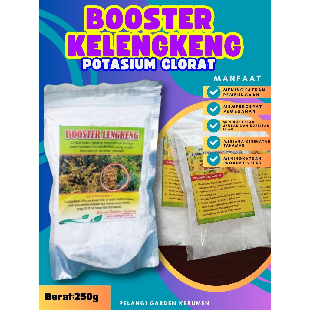 TERBAIK  Booster Buah Kelengkeng Matalada Berbuah, Booster Buah Kelengkeng Merah Cangkok Berbuah, Bo